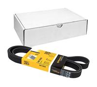 Continental Contitech 6PK1805 Courroie trapézoïdale à nervures