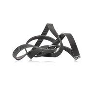 ContiTech Courroie trapézoïdale à nervures 6PK1830