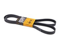 Continental Contitech 6PK1873 Courroie trapézoïdale à nervures