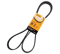 Continental Contitech 6PK1930 Courroie trapézoïdale à nervures