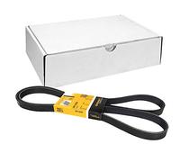 Continental Contitech 6PK1990 Courroie trapézoïdale à nervures