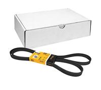Continental Contitech 6PK2060 Courroie trapézoïdale à nervures