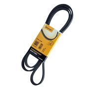 Continental Contitech 6PK2100 Courroie trapézoïdale à nervures