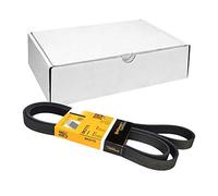 Courroie à nervures trapézoïdales CONTITECH 6PK2175