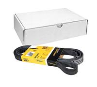 Continental Contitech 6PK2241 Courroie trapézoïdale à nervures