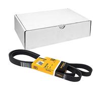 Continental Contitech 6PK2260 Courroie trapézoïdale à nervures
