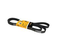 Continental Contitech 6PK2380 Courroie trapézoïdale à nervures