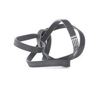 Continental Contitech 6PK2490 Courroie trapézoïdale à nervures