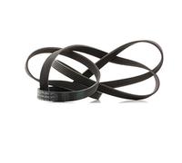 Continental Contitech 6PK2523 Courroie trapézoïdale à nervures