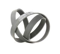 Continental Contitech 7PK1290 Courroie trapézoïdale à nervures