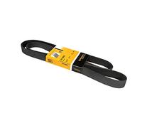 ContiTech Courroie trapézoïdale à nervures 7PK1605 Poly‑V