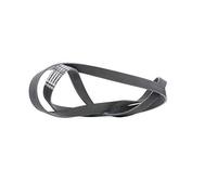 ContiTech Courroie trapézoïdale à nervures 7PK1855 Poly-V