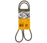 Continental Contitech AVX10X1250 Courroie trapézoïdale