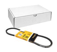 Continental Contitech AVX10X800 Courroie trapézoïdale