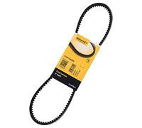 Courroie trapézoïdale à nervures CONTINENTAL AVX10X850