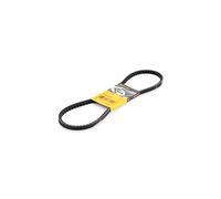 Continental Contitech AVX13X1000 Courroie trapézoïdale