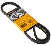 Continental Contitech AVX13X1050 Courroie trapézoïdale