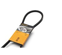 ContiTech Courroie trapézoïdale à nervures AVX13X1325