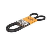 Courroie trapézoïdale à nervures CONTINENTAL AVX13X1350