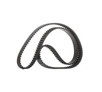 Continental Contitech CT1134 Courroie crantée