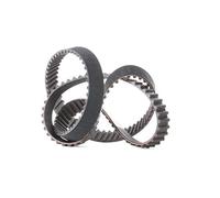 Continental Contitech CT949 Courroie crantée