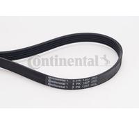 CONTINENTAL CTAM 5PK1207 Courroie trapézoïdale à nervures pour CHEVROLET,MITSUBI