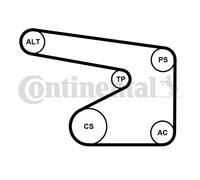 CONTINENTAL CTAM 5PK1355WP2 Pompe à eau+Jeu de courroie trapézoïdale à nervures