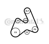 CONTINENTAL CTAM 5PK1592K1 Jeu de courroies trapézoïdales à nervures pour AUDI,V