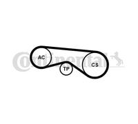 CONTINENTAL CTAM 5PK865K1 Jeu de courroies trapézoïdales à nervures pour BMW