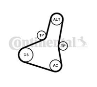 CONTINENTAL CTAM 6PK1004 EXTRA K1 Jeu de courroies trapézoïdales à nervures pour