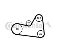 CONTINENTAL CTAM 6PK1033K1 Jeu de courroies trapézoïdales à nervures pour AUDI,C