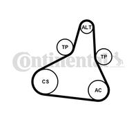 CONTINENTAL CTAM 6PK1073 EXTRA K1 Jeu de courroies trapézoïdales à nervures pour