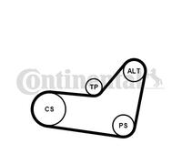 CONTINENTAL CTAM 6PK1080K4 Jeu de courroies trapézoïdales à nervures pour AUDI,S