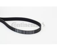 Courroie trapézoïdale à nervures CONTITECH 6PK1120 EXTRA