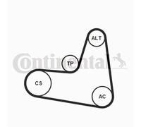 CONTINENTAL CTAM 6PK1120K2 Jeu de courroies trapézoïdales à nervures pour AUDI,S