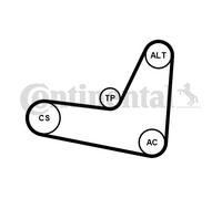 CONTINENTAL CTAM 6PK1130K3 Jeu de courroies trapézoïdales à nervures pour AUDI,S