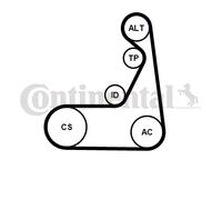 CONTINENTAL CTAM 6PK1173K2 Jeu de courroies trapézoïdales à nervures pour BMW