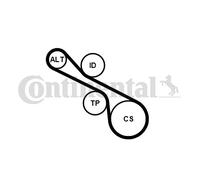 Jeu de courroies trapézoïdales à nervures CONTITECH 6PK1230K1