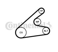 CONTINENTAL CTAM 6PK1306WP1 Pompe à eau+Jeu de courroie trapézoïdale à nervures