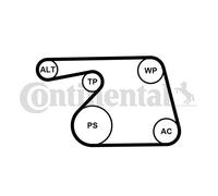 CONTINENTAL CTAM 6PK1318WP1 Pompe à eau+Jeu de courroie trapézoïdale à nervures