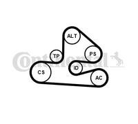 CONTINENTAL CTAM 6PK1570K1 Jeu de courroies trapézoïdales à nervures pour AUDI,S