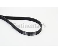 CONTINENTAL CTAM 6PK1698 Courroie trapézoïdale à nervures pour ALPINA,AUDI,BMW,C