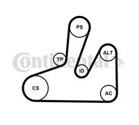 CONTINENTAL CTAM 6PK1740K4 Jeu de courroies trapézoïdales à nervures pour CITROË