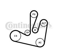 CONTINENTAL CTAM 6PK1750K2 Jeu de courroies trapézoïdales à nervures pour RENAUL