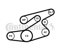 CONTINENTAL CTAM 6PK1836K1 Jeu de courroies trapézoïdales à nervures pour BMW