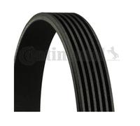 Continental CTAM 6PK2535 Courroie À Nervures Pour Audi A8 Mercedes-Benz W124