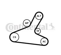 CONTINENTAL CTAM 7PK1165WP1 Pompe à eau+Jeu de courroie trapézoïdale à nervures