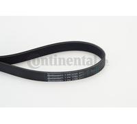 CONTINENTAL CTAM 7PK1705 Courroie Crantée pour DAF, Hyundai, Mercedes-Benz,