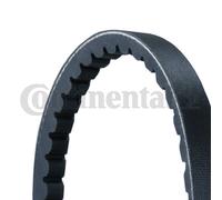 ContiTech Courroie trapézoïdale AVX13X1900
