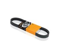 CONTINENTAL CTAM Courroie à nervures trapézoïdales 3PK890